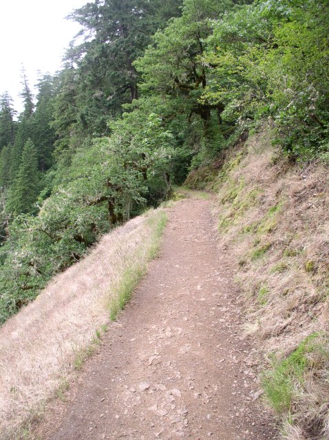 6.03.06 Eagle Creek 045 